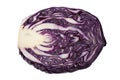Half of head of red cabbage Royalty Free Stock Photo