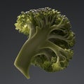 Healthy ripe broccoli branch