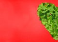 half heart made of small green petals on a red background, christmas decoration