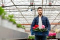 Half height portrait of a young man in greenhouse chooses cyclamen plant. Flora and gardening concept