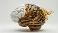 Half human brain, half digital code with liquid splash Royalty Free Stock Photo