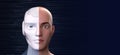 Half humanoid robot metaverse and cyberpunk concept, 3d rendering Royalty Free Stock Photo