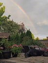 A half Husky half Great Dane Dog lying in the backyard on the patio with a rainbow Royalty Free Stock Photo