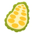 Half jackfruit icon cartoon vector. Ripe fruit