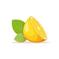 Half juicy lemon and bright green leaves