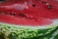 half a juicy red watermelon Royalty Free Stock Photo