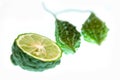 Half kaffir and bitter gourds on white background