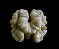 Half of a kernel of a walnut. The inner part of the nut lies isolated on a black background Royalty Free Stock Photo