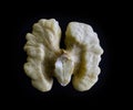 Half of a kernel of a walnut. The inner part of the nut lies isolated on a black background Royalty Free Stock Photo