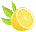 Half of lemon icon. Cartoon citrus. Fruit cut