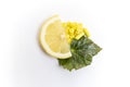 A half of lemon slice next to yellow pills and capsules and a green leaf isolated on white Royalty Free Stock Photo