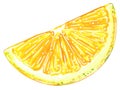 Half lemon slice watercolor illustration