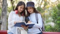 Half-length portrait of two female university students reading book together at the park in university Royalty Free Stock Photo