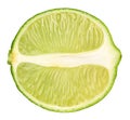 Half of lime citrus fruit. Lime cut isolated on white background. With clipping path, top view Royalty Free Stock Photo