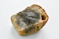 Half a loaf of black bread covered with mold. Damaged product. Expired Royalty Free Stock Photo