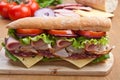 Half of Long Baguette Sandwich Royalty Free Stock Photo