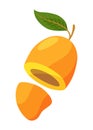 Half mango, tropical fruit vector illustration Royalty Free Stock Photo