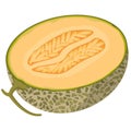 Half melon in cartoon style. Royalty Free Stock Photo