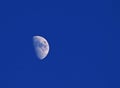 A Half Moon Against a Blue Sky Royalty Free Stock Photo