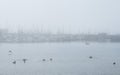 Foggy afternoon. Half Moon Bay, California, USA Royalty Free Stock Photo