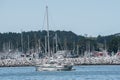 Sailboats. Half Moon Bay, California, USA Royalty Free Stock Photo