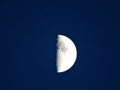 Half moon on blue sky in the twilight Royalty Free Stock Photo