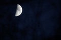 Half moon on a clear Night sky Royalty Free Stock Photo