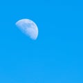 Half moon with crater lying aside seen in blue day sky Royalty Free Stock Photo