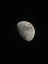 Half Moon In A Dark Sky Captured With Detailed Surface Features Royalty Free Stock Photo