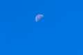 Half Moon During Day in Blue Sky. Bright moon orbiting earth in Royalty Free Stock Photo