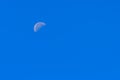 Half Moon During Day in Blue Sky. Bright moon orbiting earth in Royalty Free Stock Photo