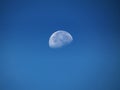 Half moon in the daytime. Royalty Free Stock Photo