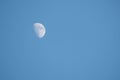 Half moon in daytime sky Royalty Free Stock Photo