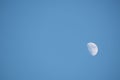 Half moon in daytime sky Royalty Free Stock Photo