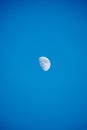 Half moon in daytime sky Royalty Free Stock Photo