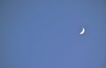 half moon floating on blue sky in twilight background Royalty Free Stock Photo