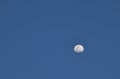 half moon floating on blue sky in twilight background Royalty Free Stock Photo