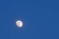 half moon floating on blue sky in twilight background Royalty Free Stock Photo