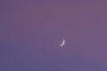 half moon floating on blue sky in twilight background Royalty Free Stock Photo