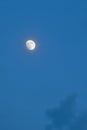 half moon floating on blue sky in twilight background Royalty Free Stock Photo