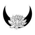 Half moon and lotus flower line art. Black and white nature witchcrafts illustration. Botanical drawing. Royalty Free Stock Photo