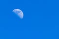 Half moon with crater lying aside seen in blue day sky Royalty Free Stock Photo