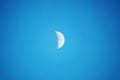 Half Moon Seen in the Daytime, In a Blue Sky Royalty Free Stock Photo