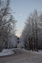Half moon shining over the winter road Royalty Free Stock Photo