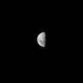 half moon shinning above Sydney NSW Australia on a autumn night. moon craters are visible on the surface Royalty Free Stock Photo