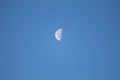 The Half Moon - Third Quarter Royalty Free Stock Photo