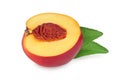 Half nectarine fruit with leaf isolated on white background cutout Royalty Free Stock Photo