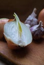 Half onion on beige background of two heads of garlic