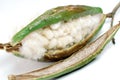 Half open Kapok seed pod in white background