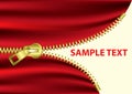 Half Open Zipper -EPS Vector- Royalty Free Stock Photo